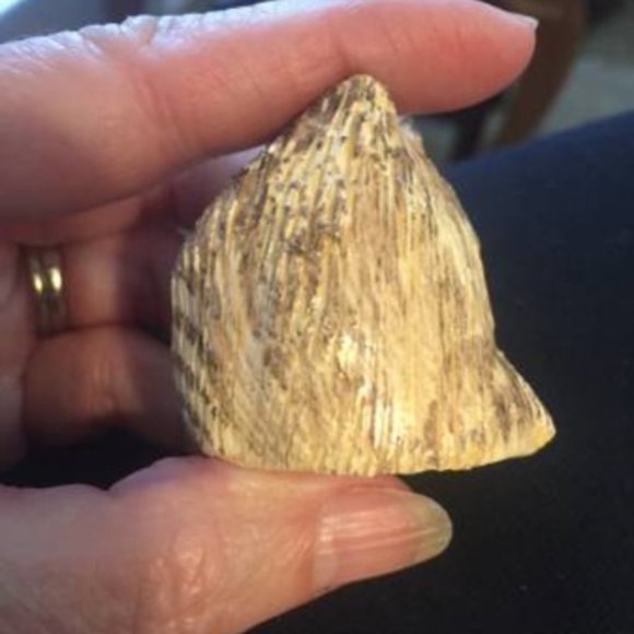 VTG Owl figurine by Babbacombe pottery - Picture 4 of 5